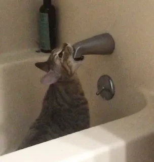 🚰