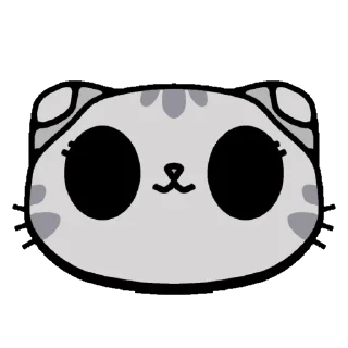 🐱