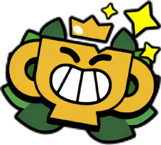 ✨