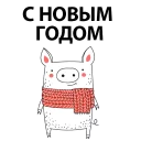 🐷