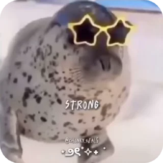 🤩