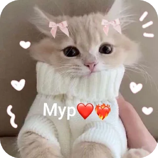 ❤
