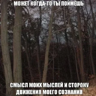 🧂
