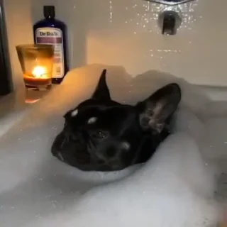 🤤