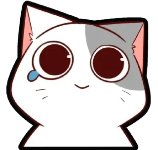 🐈