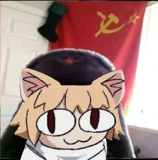 🇷🇺