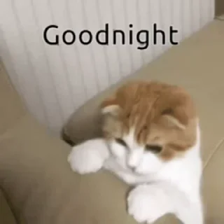 😴