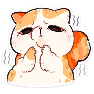 🐱