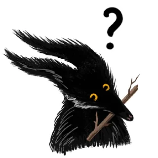 ❓