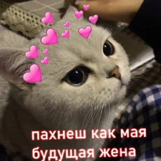 💘