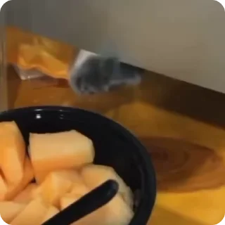 👏