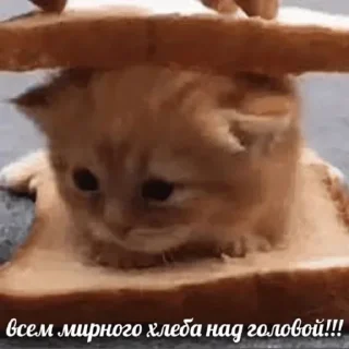 🥺