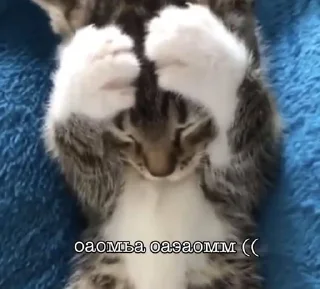 😕