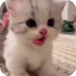 🥺