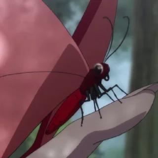 🦋