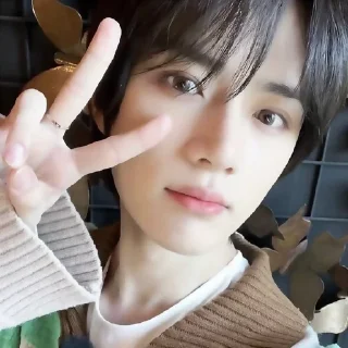 🐻