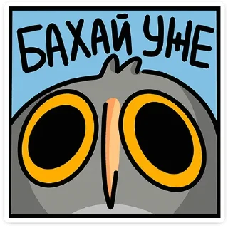 🦉