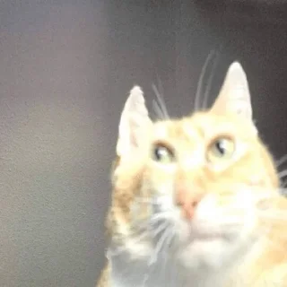😟