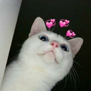 🌝