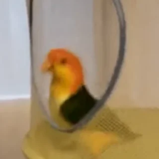 🥳