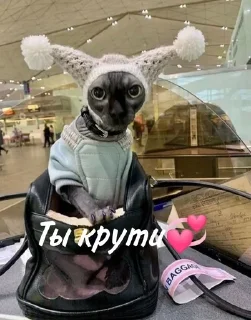 💓