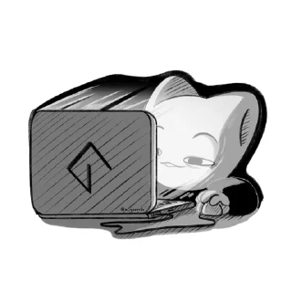 💻