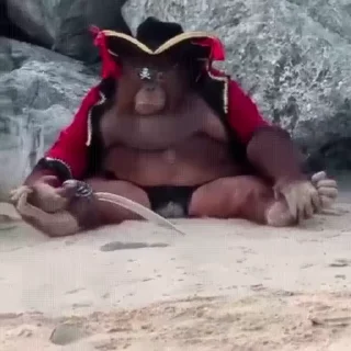 🏴‍☠️