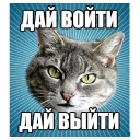 🐱