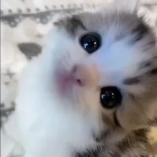 😍