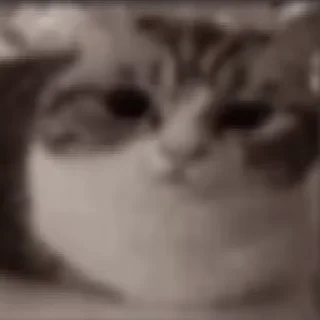 💣