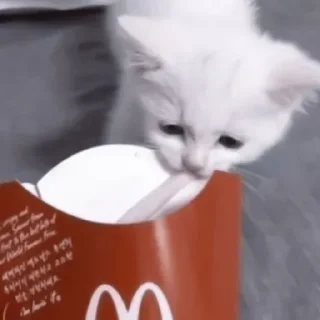😋