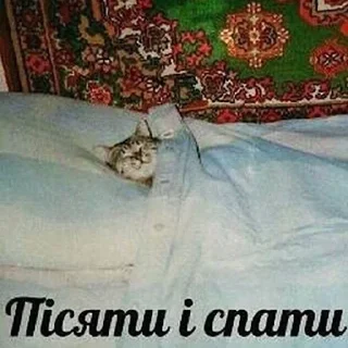 😏