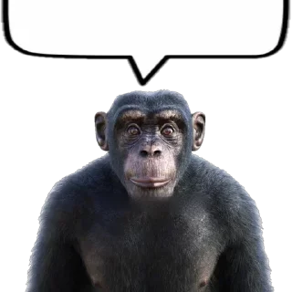 💬