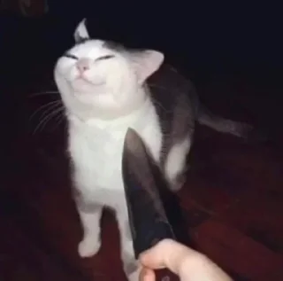 😏