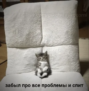 😯