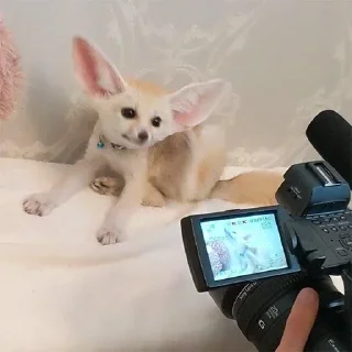📷