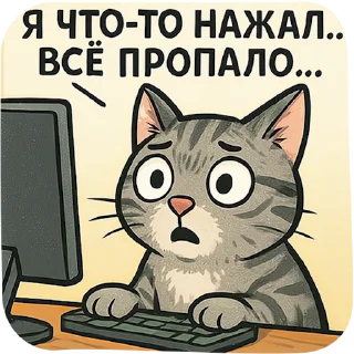 🖥
