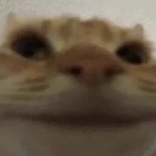🙂