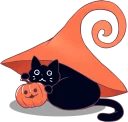 😼