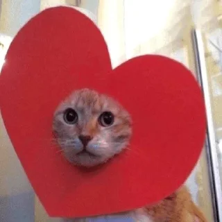 ❤️