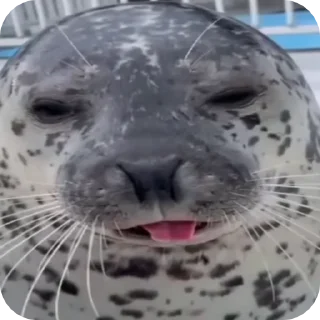 🤤