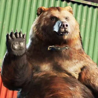 🐻