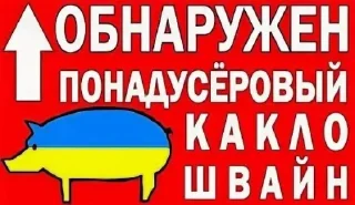 🇺🇦