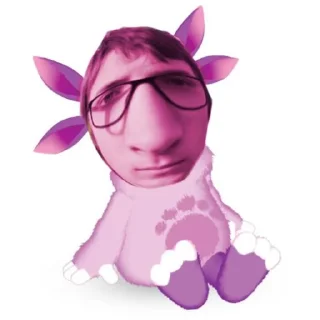 🦩