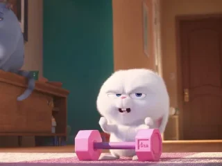 🤩