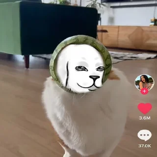🍉