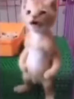 🤯