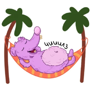 😴