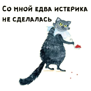 🐱
