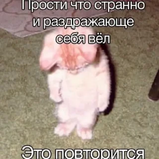 😞